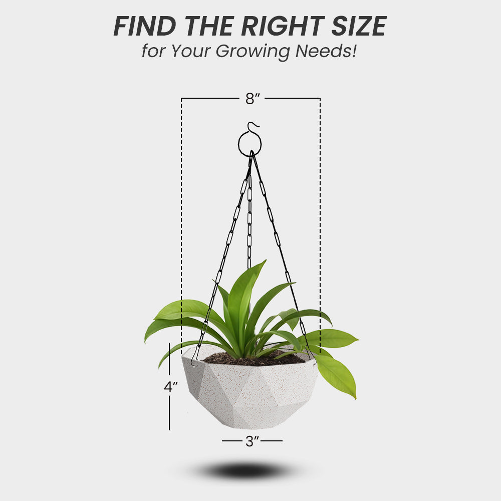 SHERA | DMD HANGING