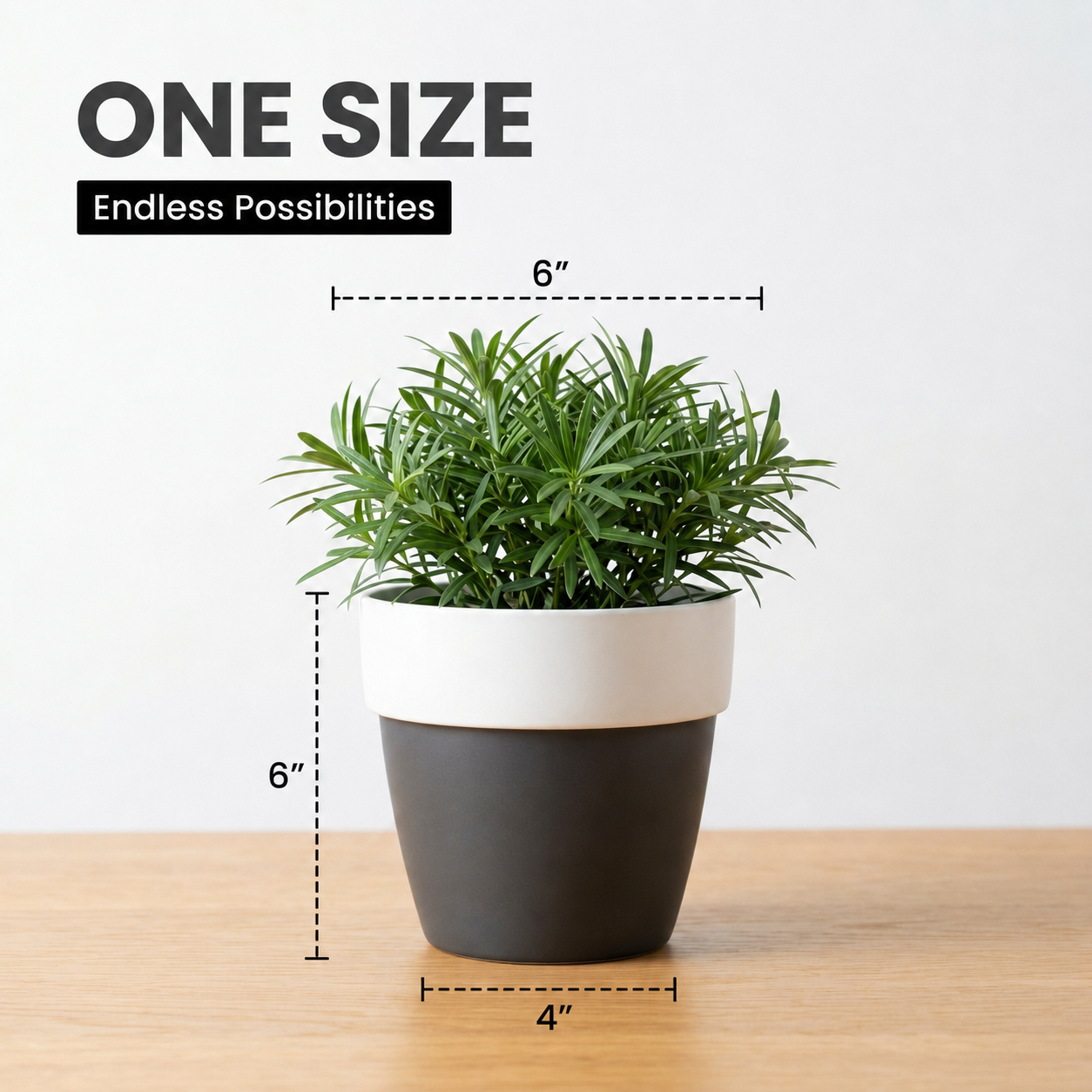 SHERA | VETA PLANTER