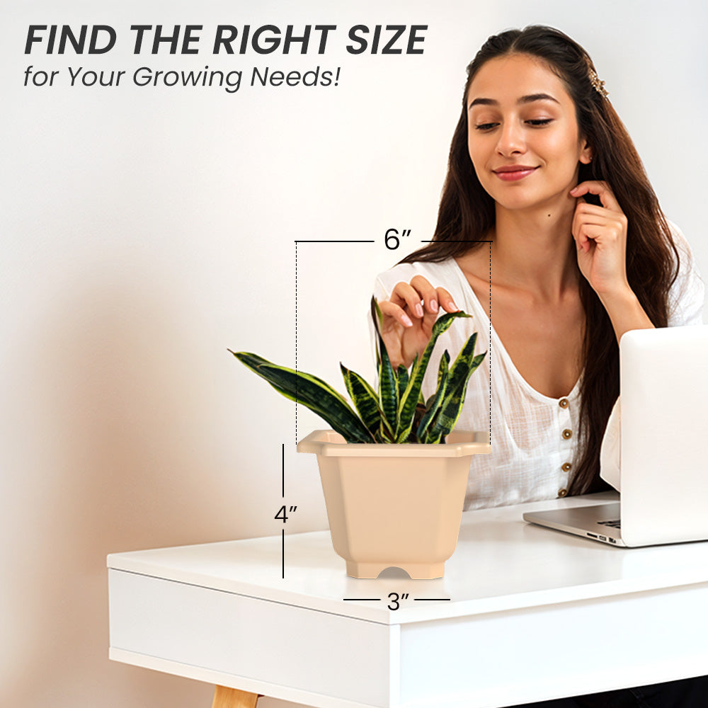 SHERA | OCTA PLANTER SET OF 6