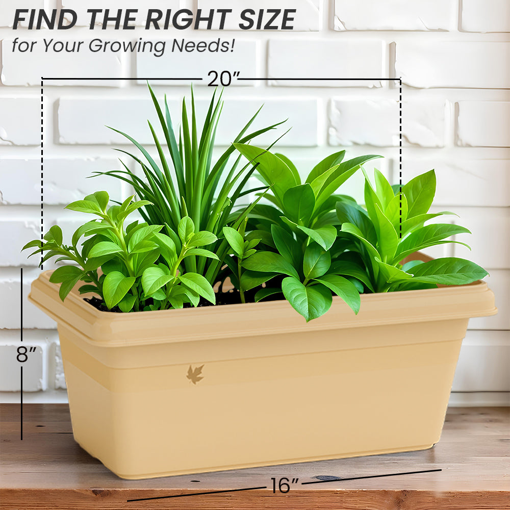 SHERA | TP PLANTER