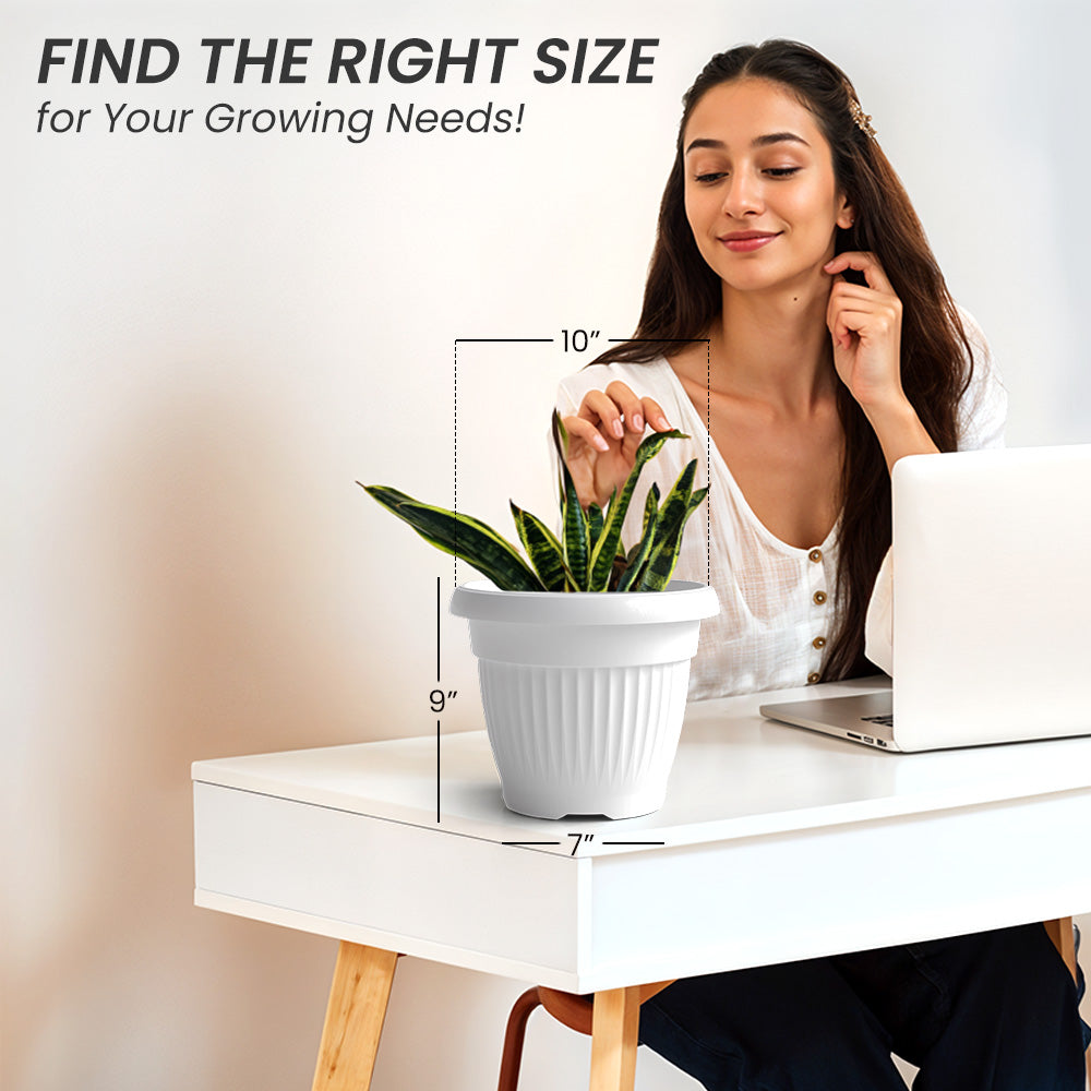 SHERA | BLOOM PLANTER