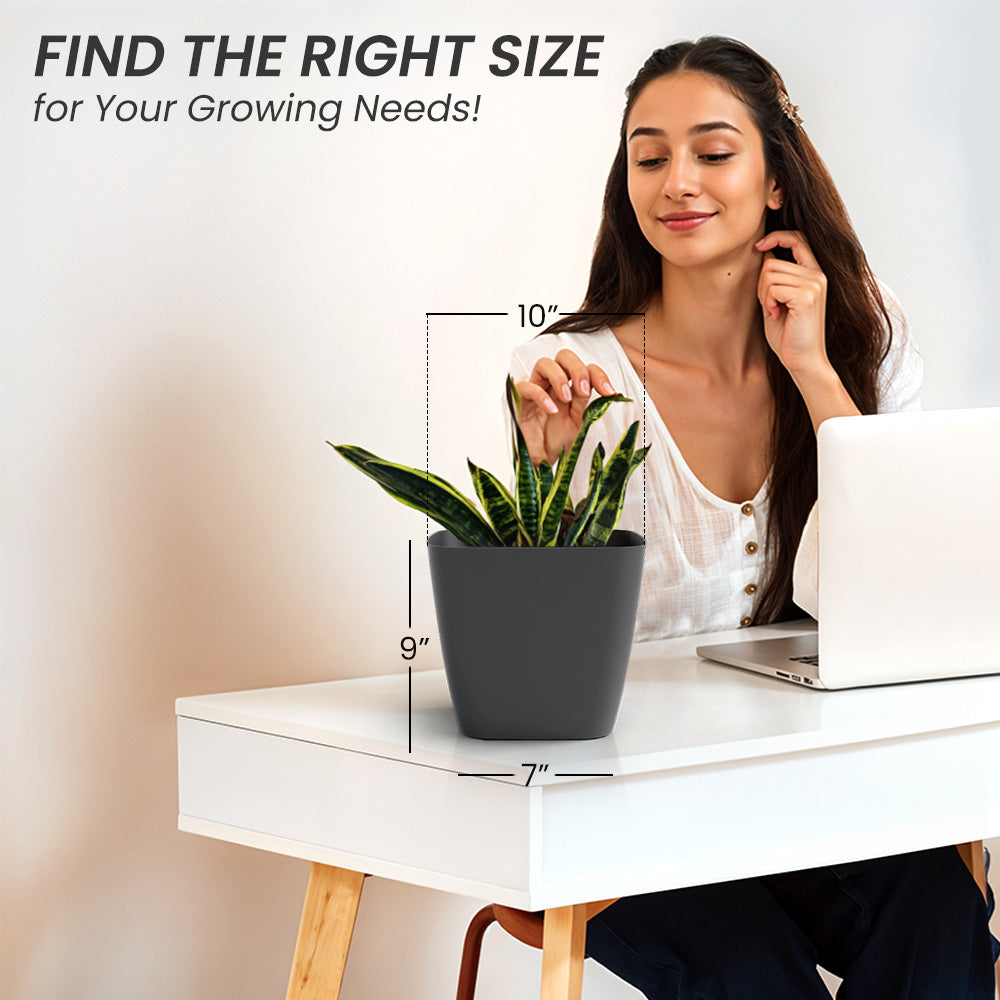 SHERA | STOIC PLANTER
