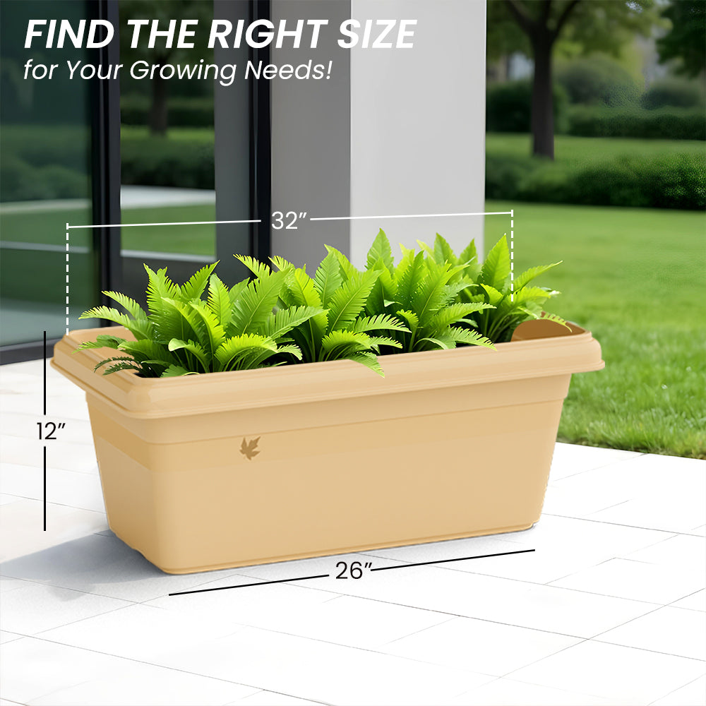 SHERA | TP PLANTER