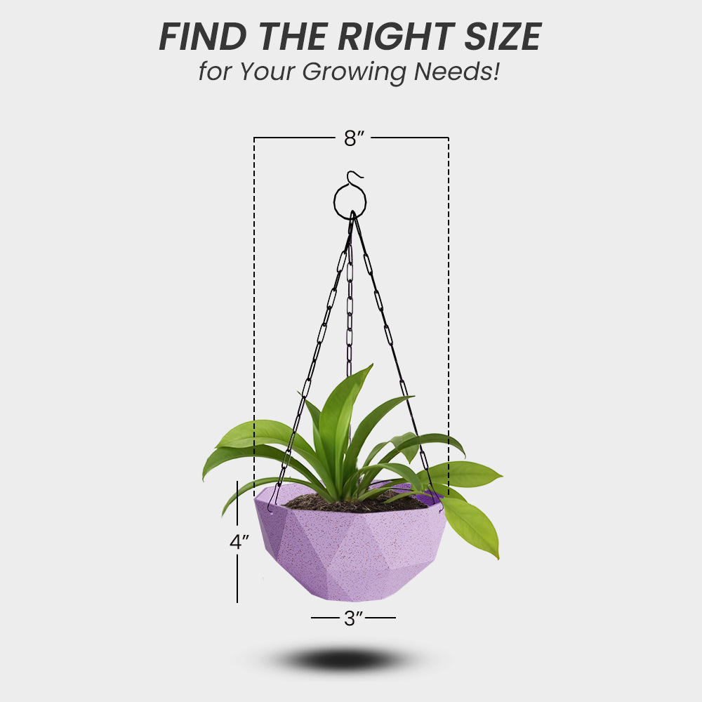 SHERA | DMD KTR BIO HANGING