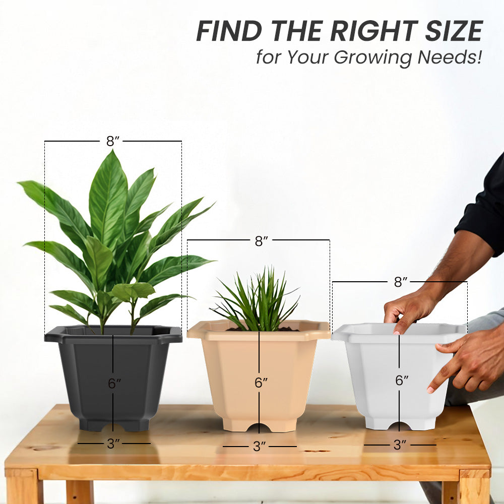 SHERA | OCTA PLANTER SET OF 6