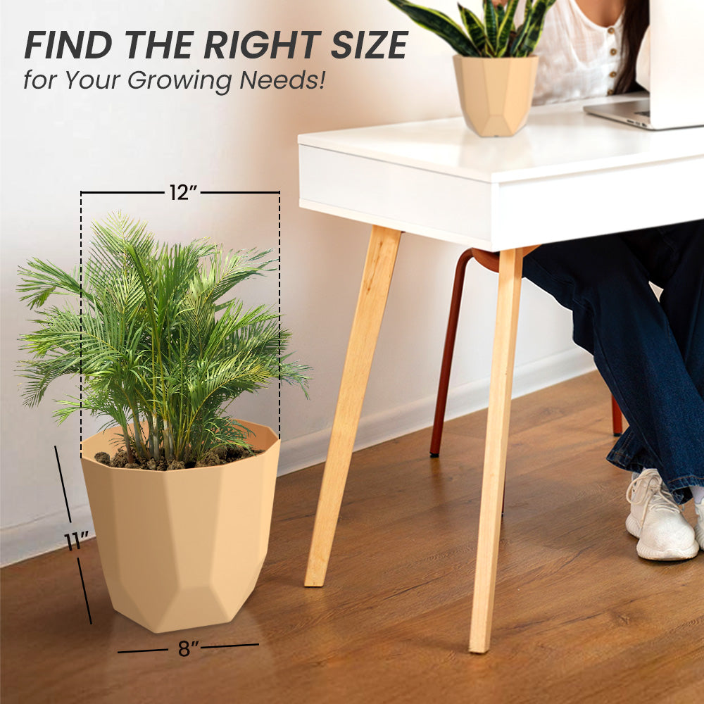 SHERA | HEXA PLANTER