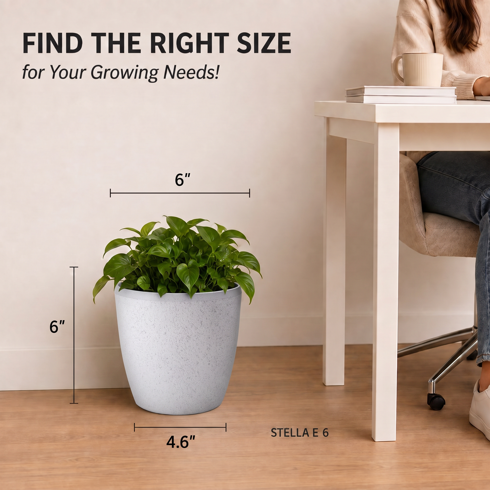SHERA | STELLA E PLANTER
