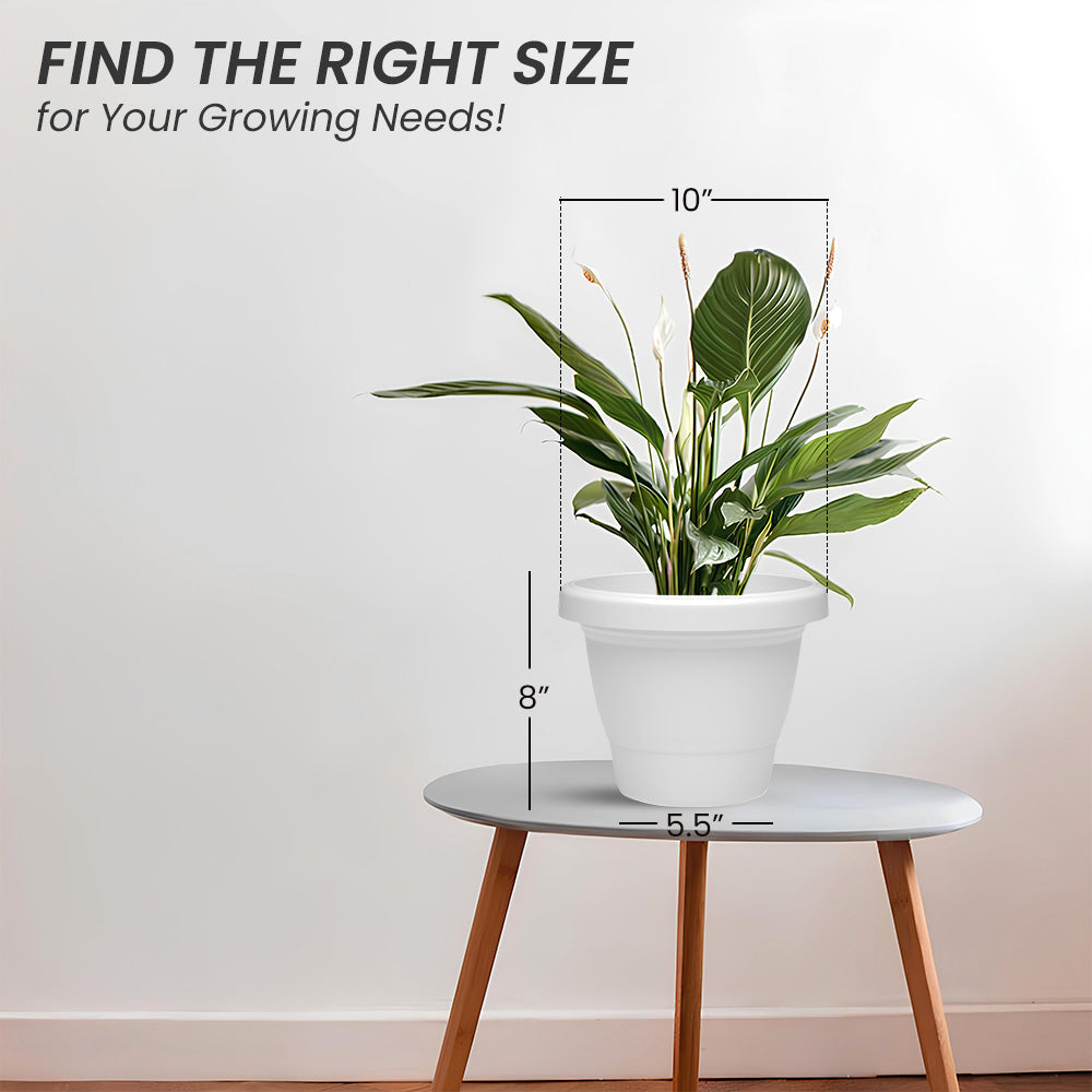 SHERA | SD PLANTER