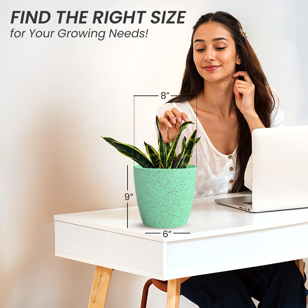 SHERA | STELLA BIO PLANTER