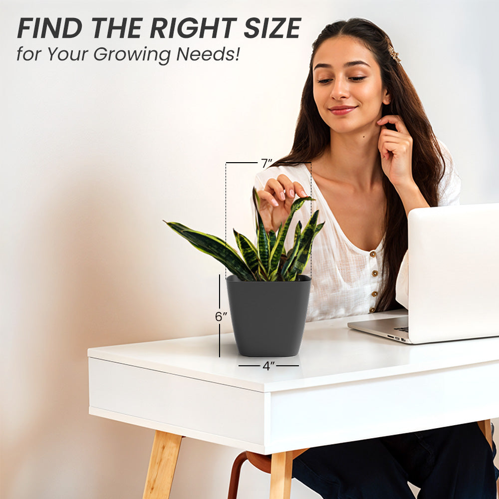 SHERA | STOIC PLANTER