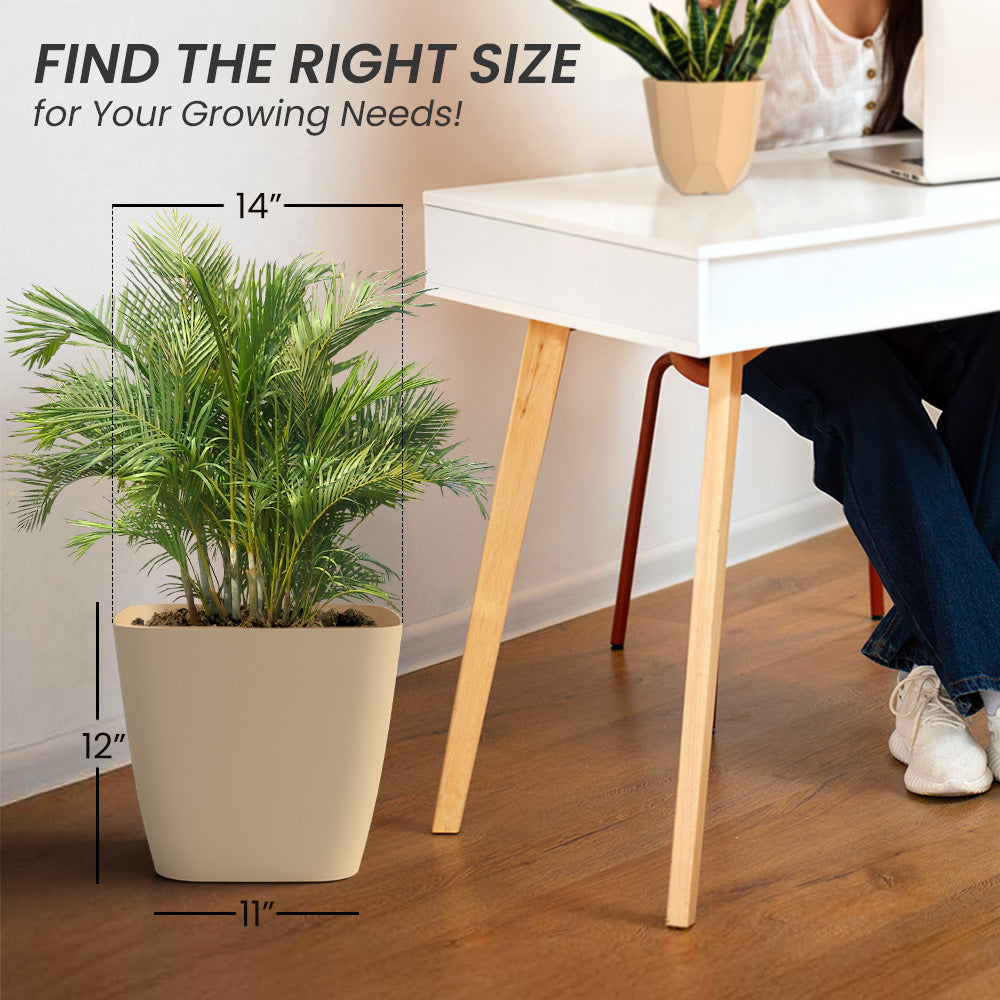 SHERA | STOIC PLANTER