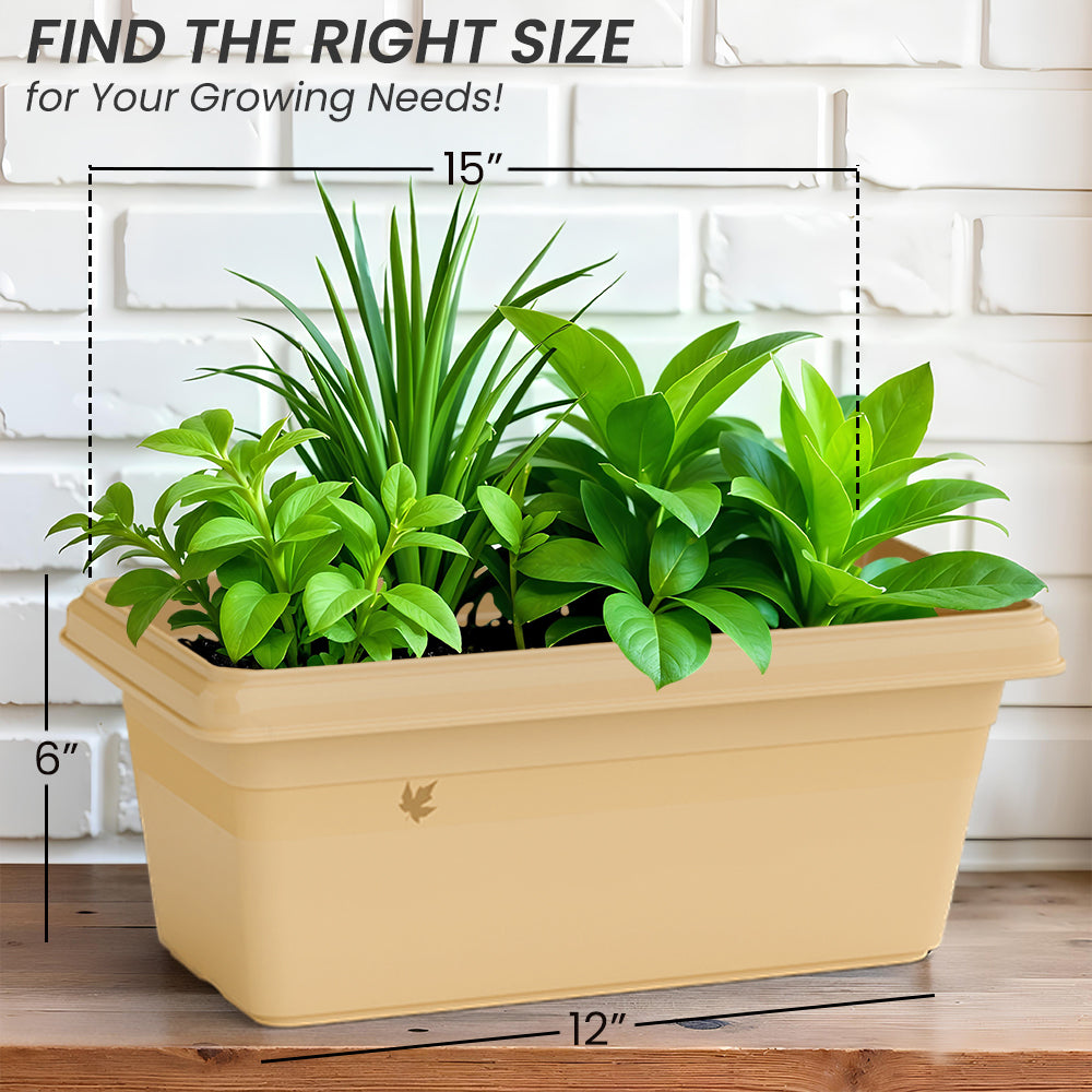 SHERA | TP PLANTER