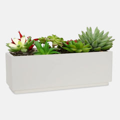 YUCCABE | BOX TRA PLANTER