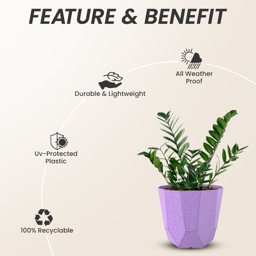 SHERA | HEXA BIO PLANTER
