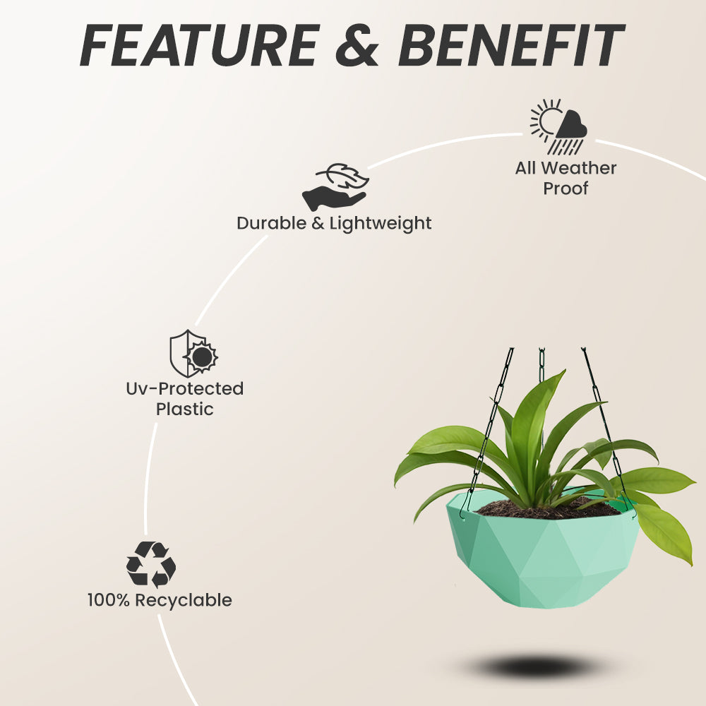 SHERA | DMD KTR HANGING