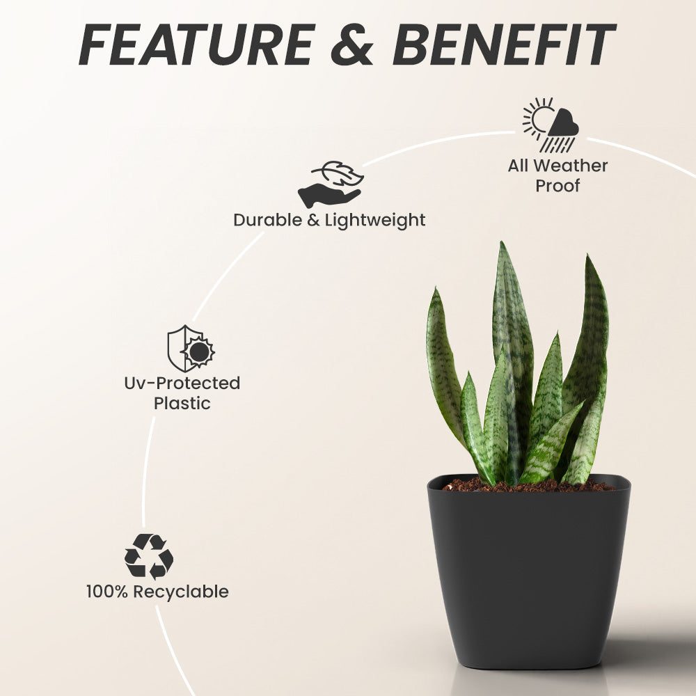 SHERA | STOIC PLANTER