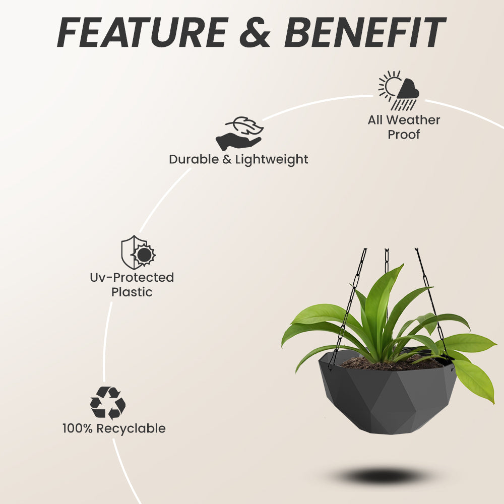 SHERA | DMD KTR HANGING