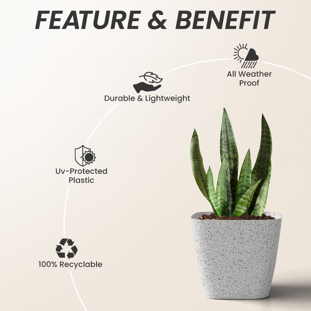 SHERA | STOIC PLANTER