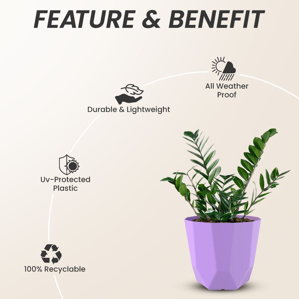 SHERA | HEXA PLANTER