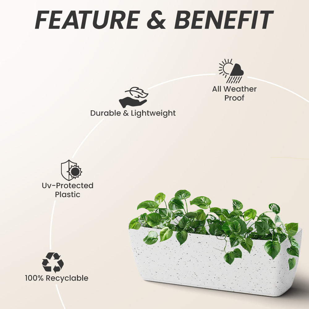 SHERA | CABI TRAY PLANTER