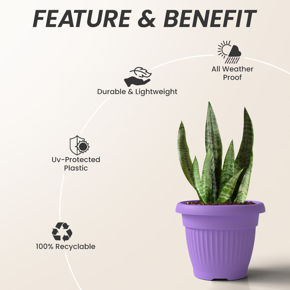 SHERA | BLOOM PLANTER