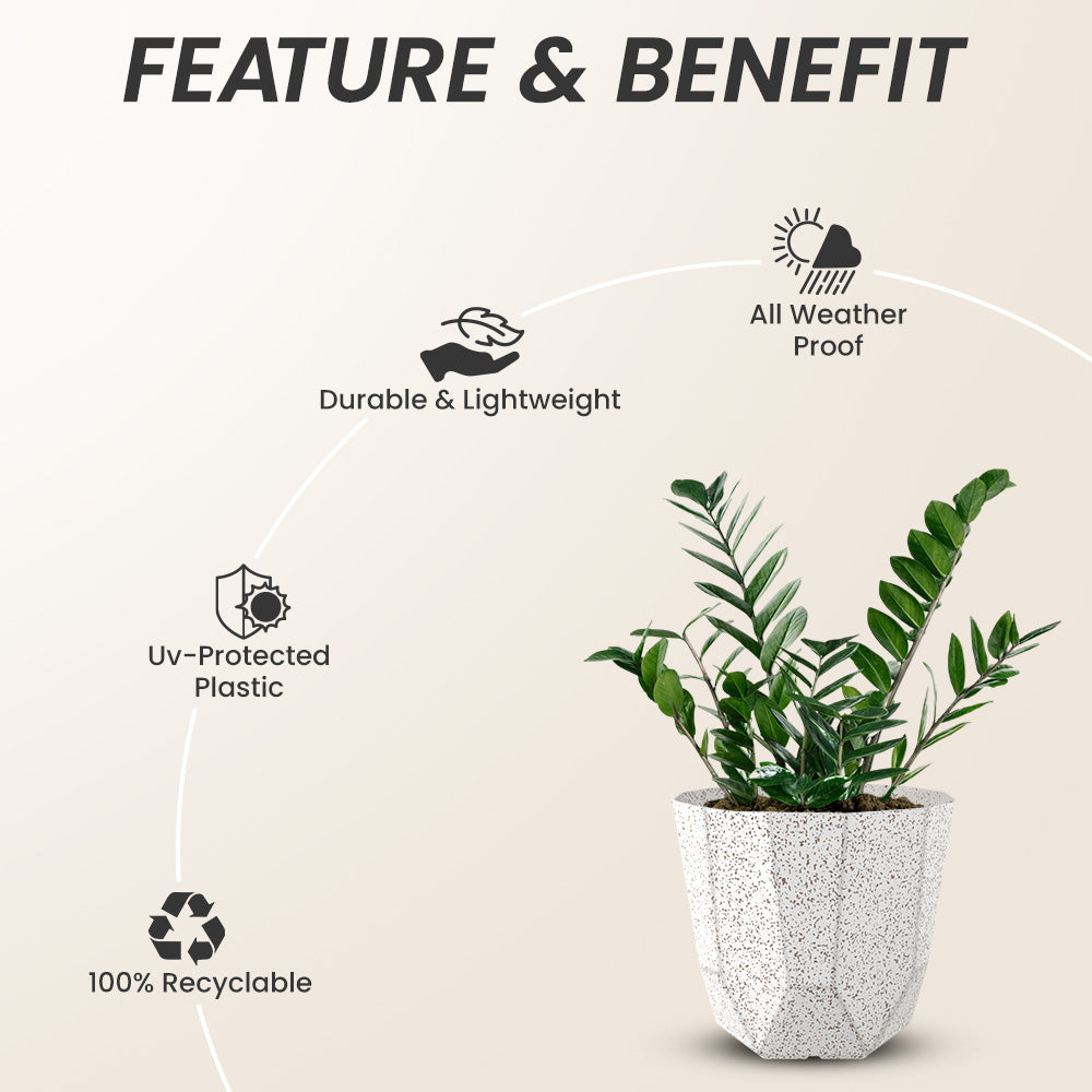 SHERA | HEXA PLANTER