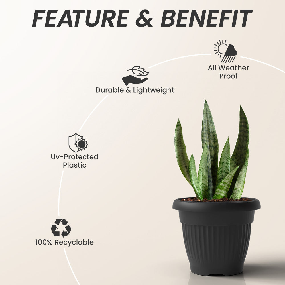 SHERA | BLOOM PLANTER