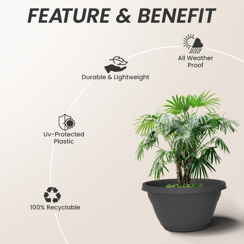 SHERA | BOTANICA BONSAI KTR PLANTER