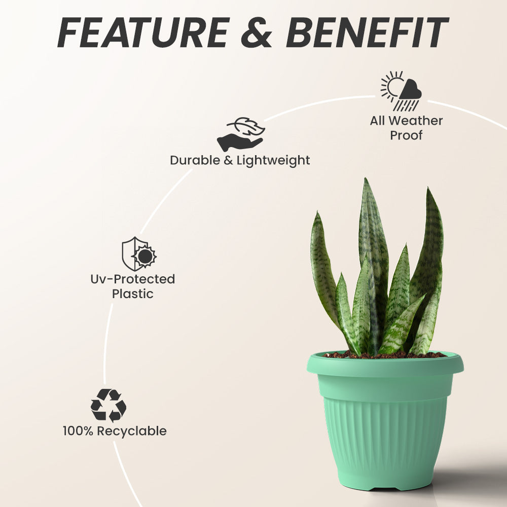 SHERA | BLOOM PLANTER