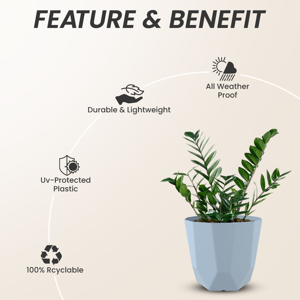 SHERA | HEXA PLANTER