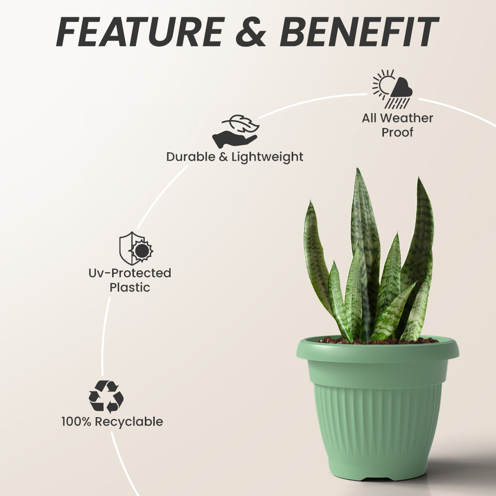 SHERA | BLOOM PLANTER