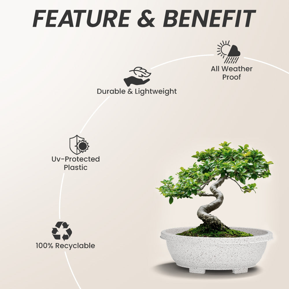 SHERA | BOTANICA BONSAI TRAY