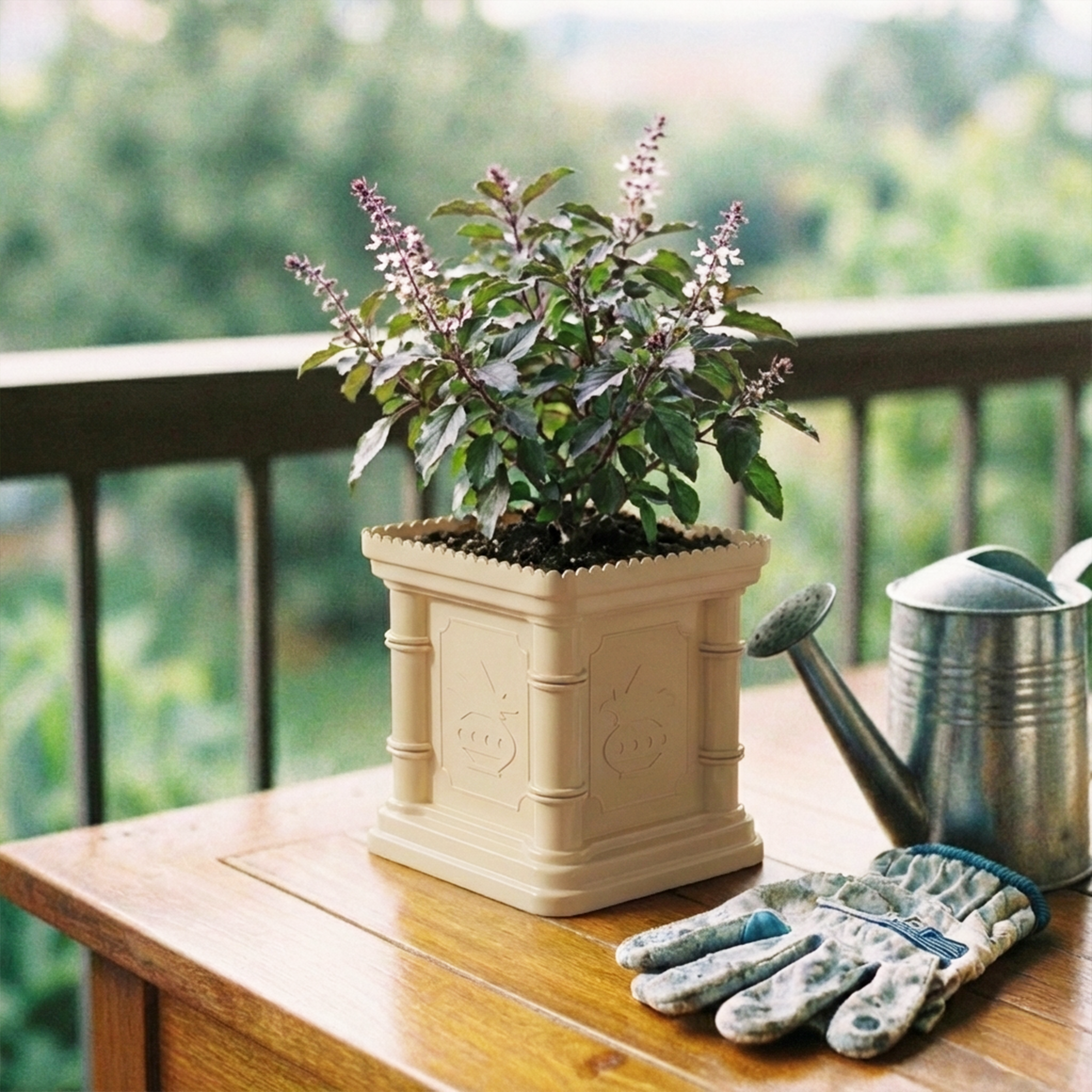 SHERA | TULSI PLANTER