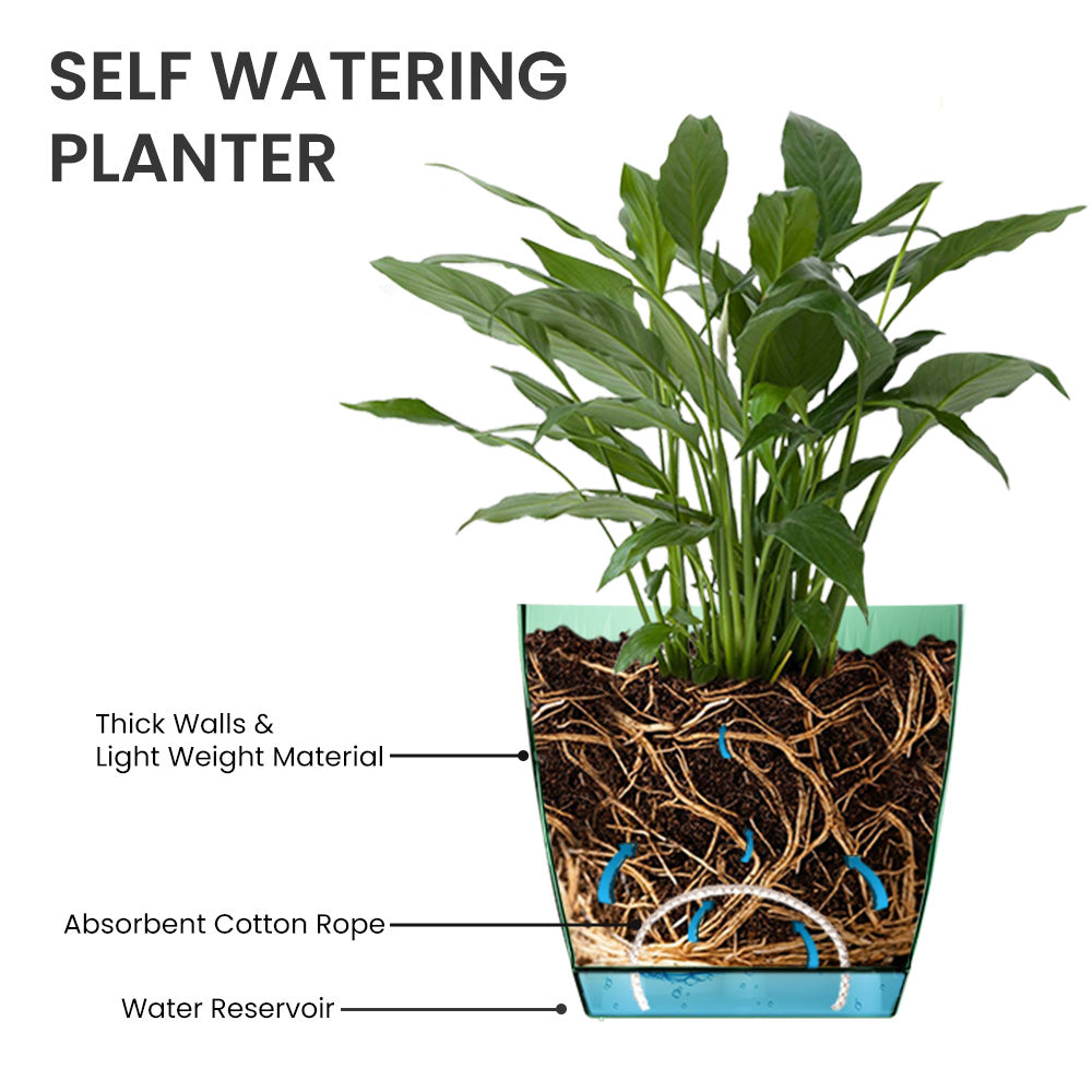 SHERA | EVA PLANTER