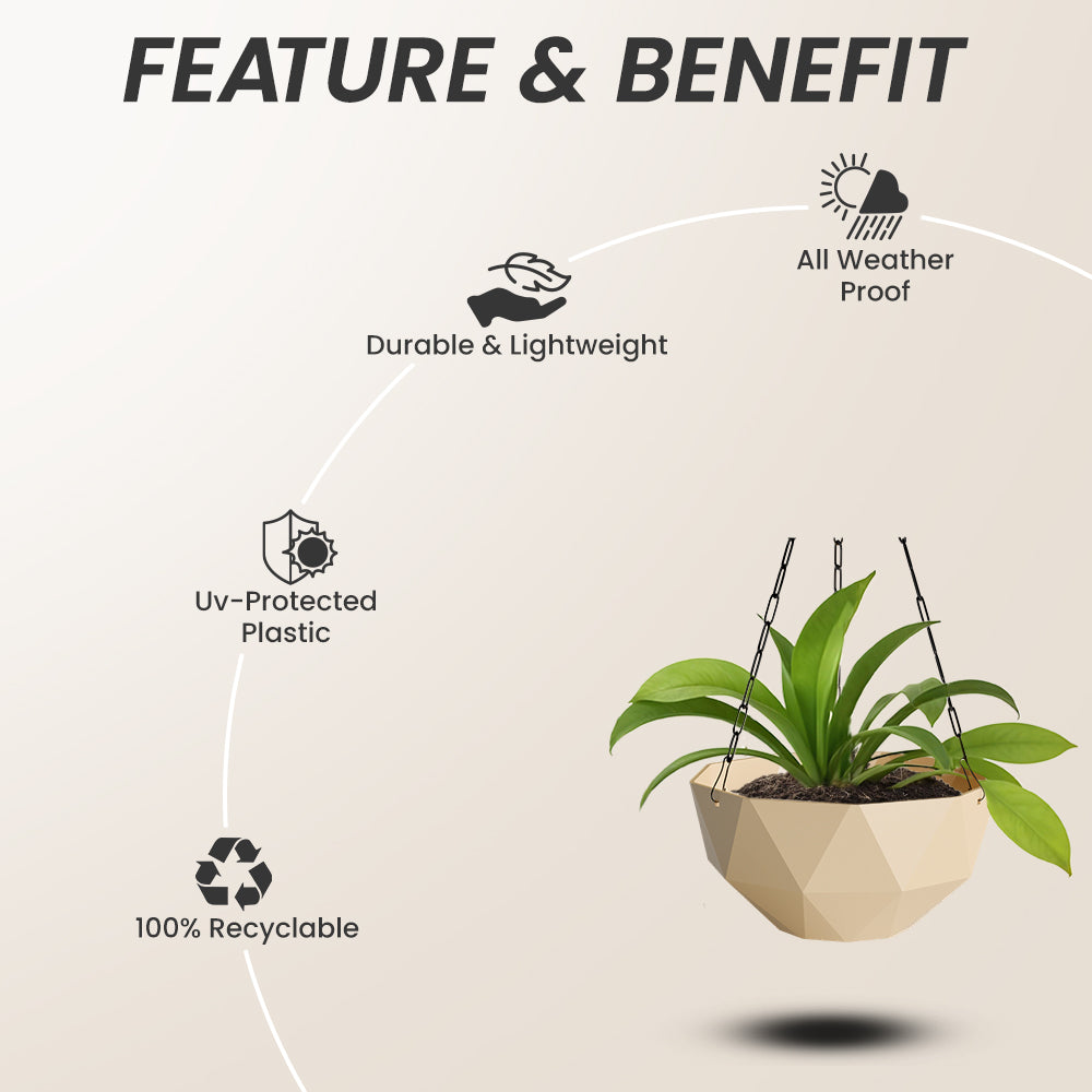 SHERA | DMD KTR HANGING