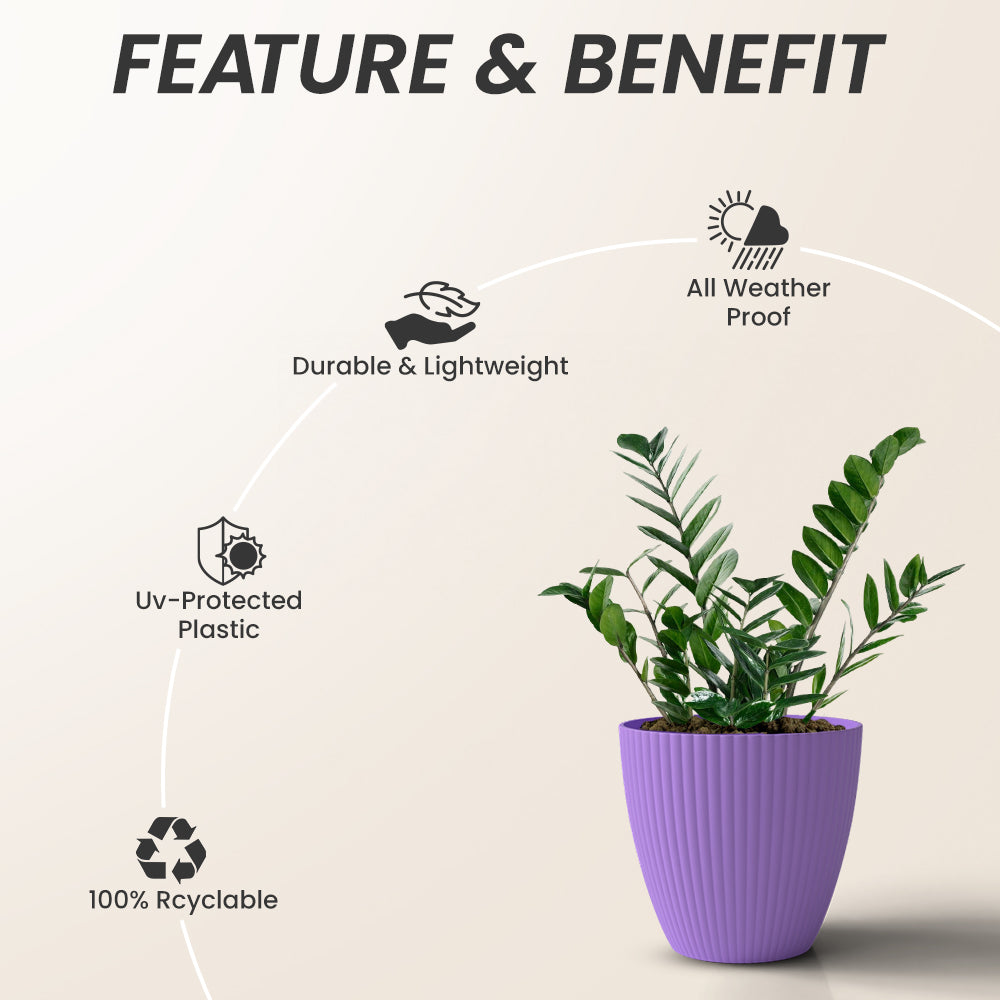 SHERA | LOTUS PLANTER