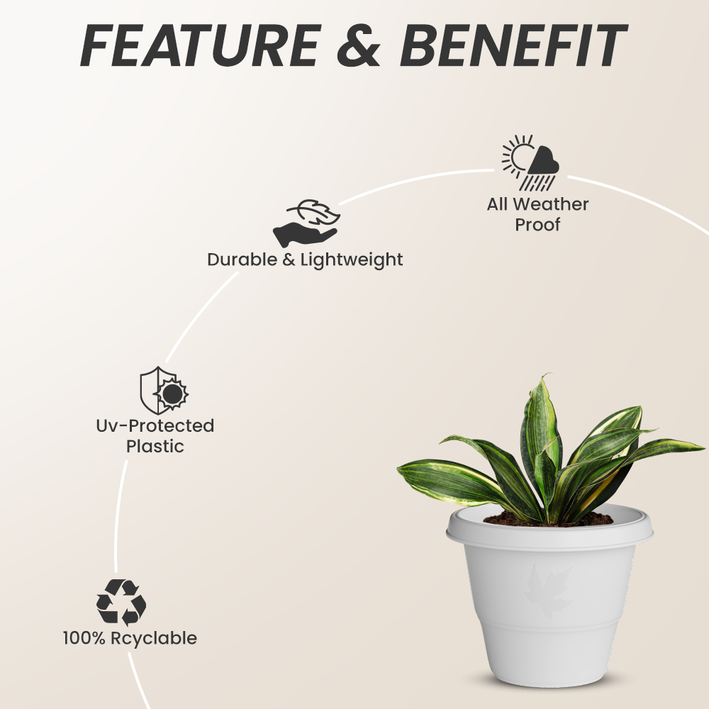 SHERA | RD PLANTER 14 INCH TO 20 INCH