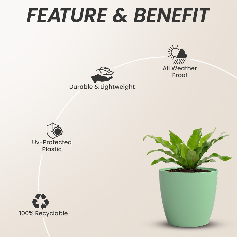 SHERA | STELLA GARDEN PLANTER