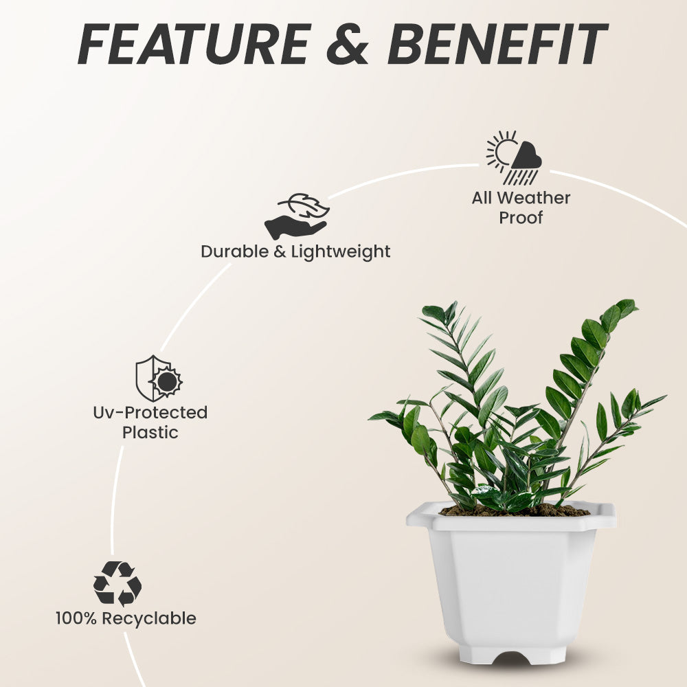 SHERA | OCTA PLANTER SET OF 12