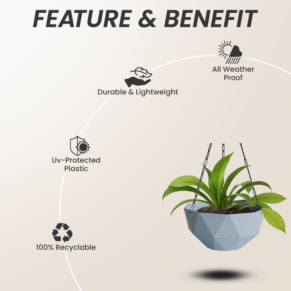 SHERA | DMD KTR BIO HANGING