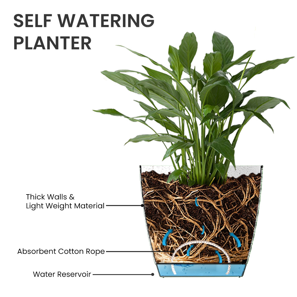 SHERA | CRUZ PLANTER