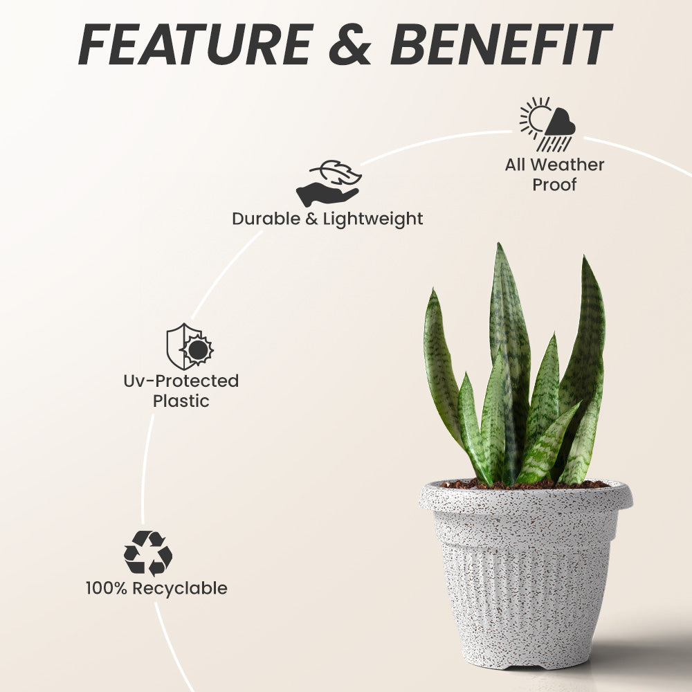 SHERA | BLOOM PLANTER