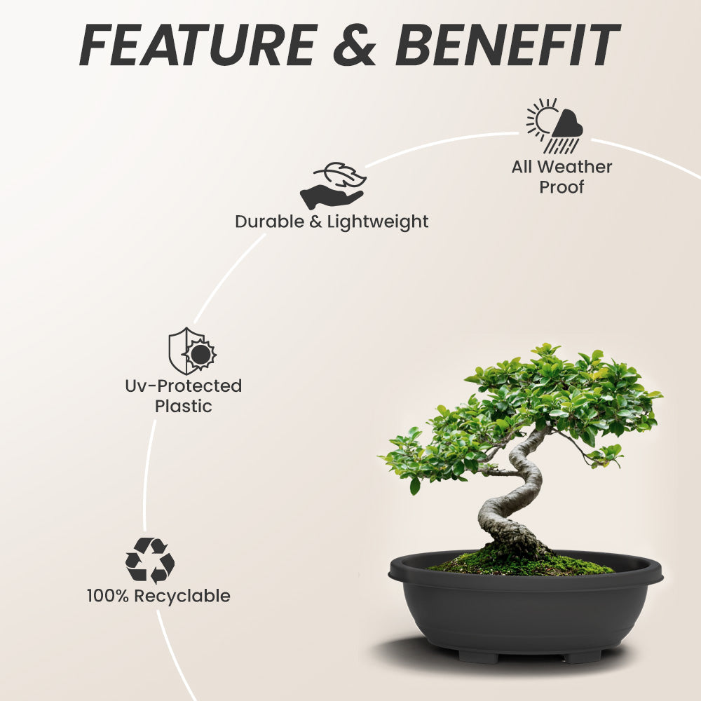 SHERA | BOTANICA BONSAI TRAY