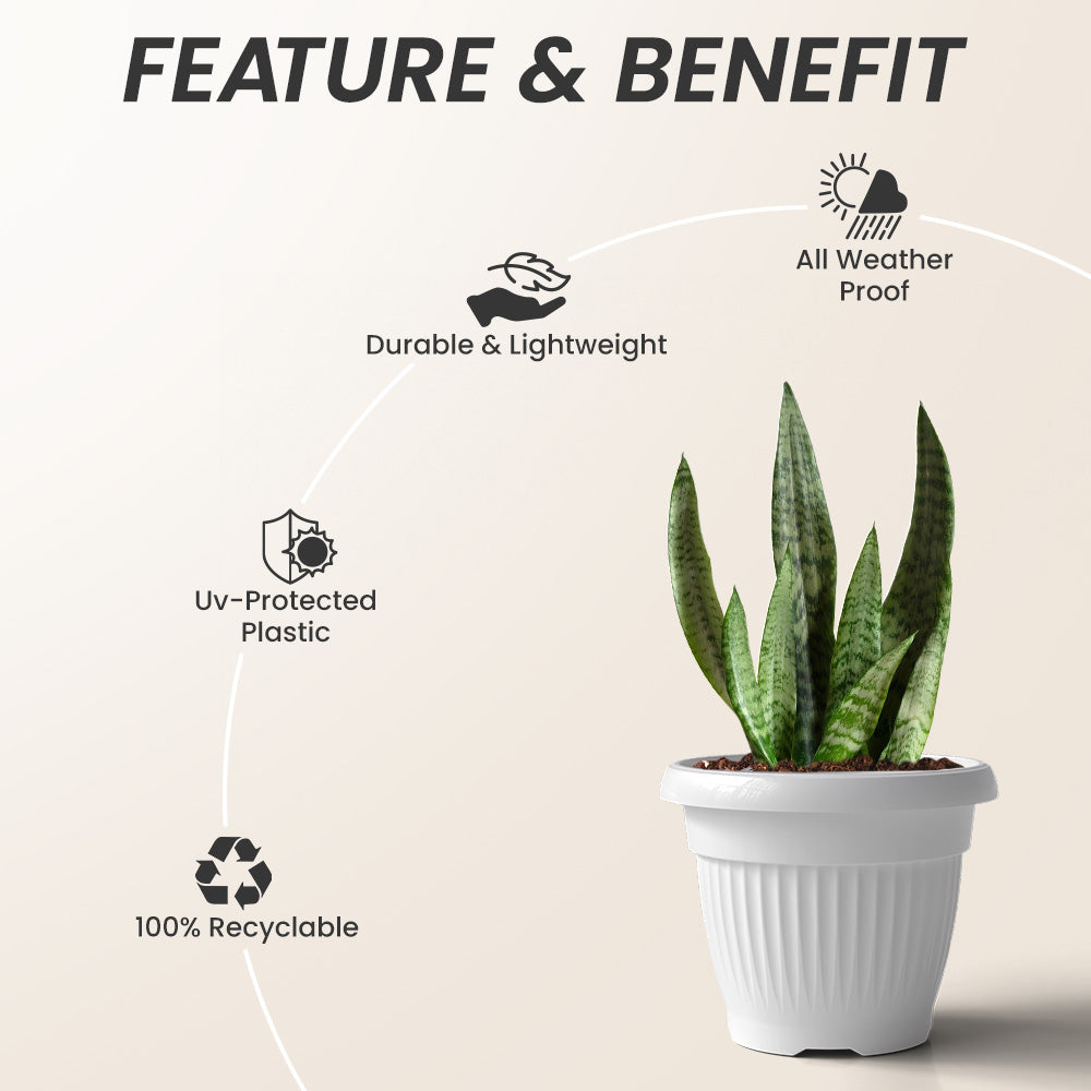 SHERA | BLOOM PLANTER