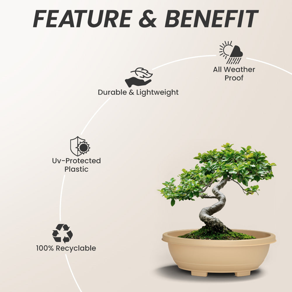 SHERA | BOTANICA BONSAI TRAY