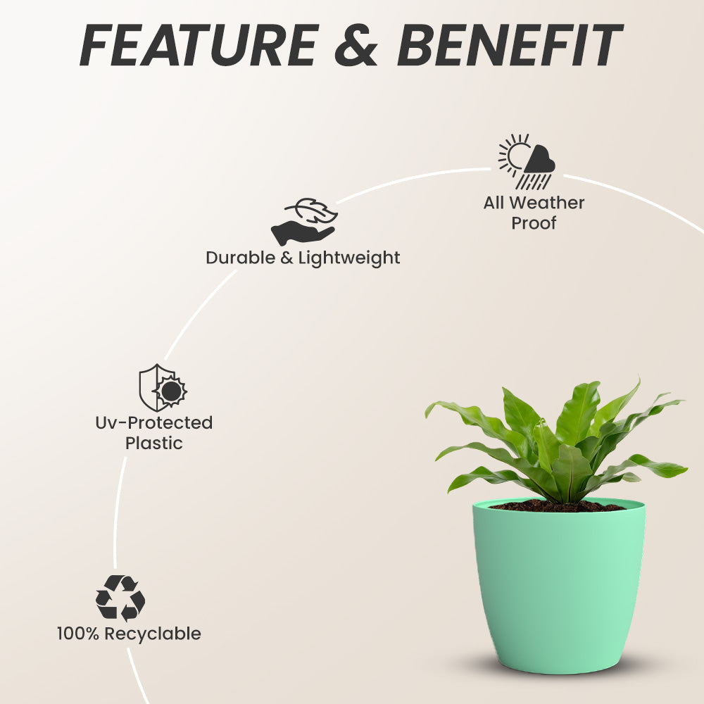 SHERA | STELLA GARDEN PLANTER