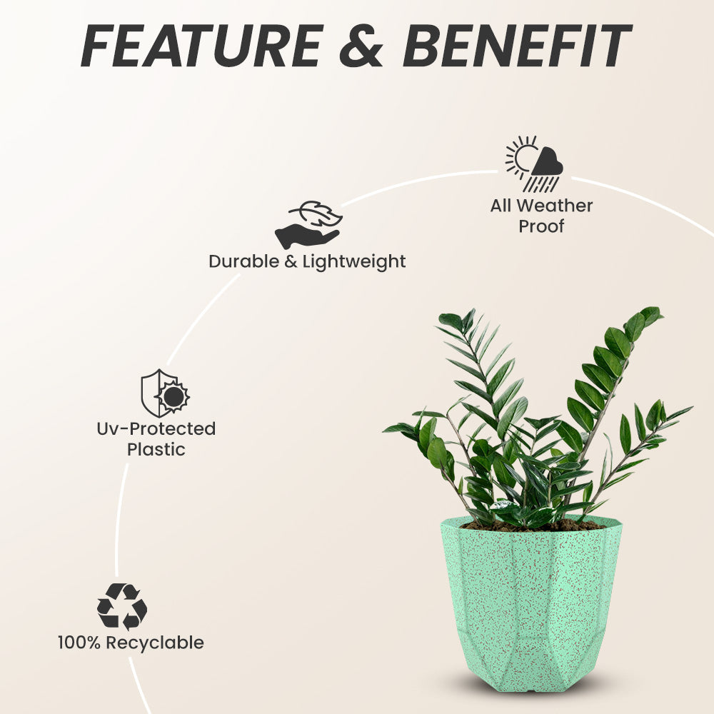 SHERA | HEXA BIO PLANTER