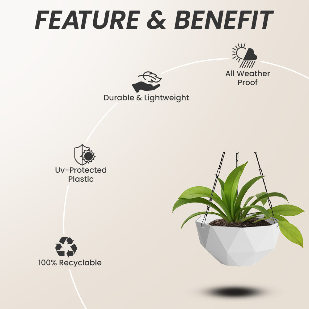 SHERA | DMD KTR HANGING