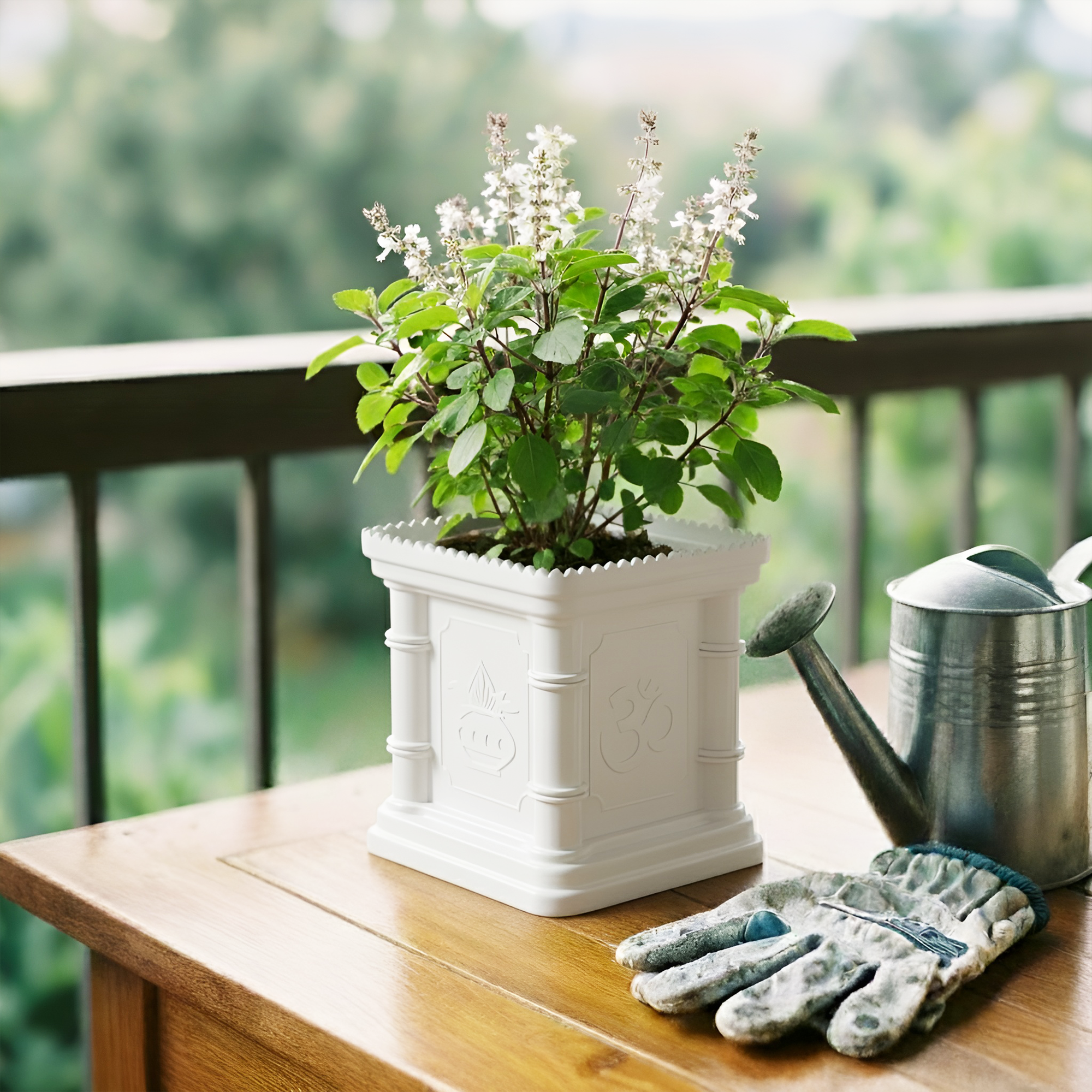 SHERA | TULSI PLANTER