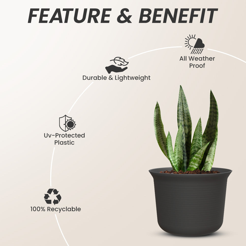 SHERA | FLORA PLANTER